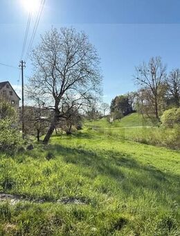 Ehemaliges Mühlenanwesen mit mächtig viel Platz - Heiligenberg