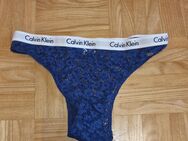 Sexy blauer Calvin Klein Slip - Regensburg