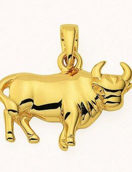 Adelia´s Kette mit Anhänger 585 Gold Sternzeichen Anhänger Stier, Schmuckset - Set mit Halskette