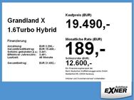 Opel Grandland X 1.6Turbo Hybrid ELEGANCE *Navi*LED - Hof