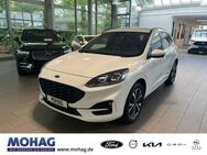 Ford Kuga, ST-Line X 19, Jahr 2022 - Recklinghausen