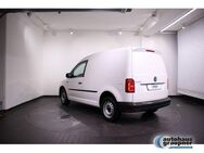 VW Caddy 1.0 TSI Kasten - Brandis