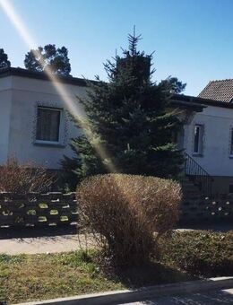 Wohnen am Waldrand...Einfamilienhaus mit großem Grundstück in ruhiger Lage - Gommern