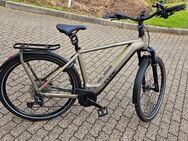 E Bike Cube Kathmandu Hybrid Pro 750 flashgray ´n metal - Schwelm Zentrum