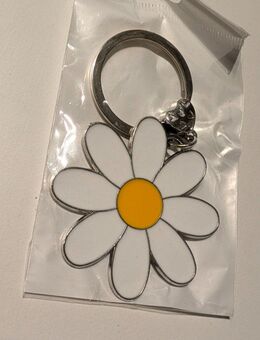 Schlüsselanhänger mit Schlüsselring zu verschenken - Lenzkirch