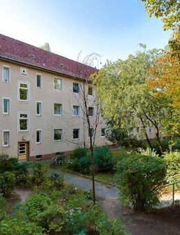 Mittendrin, da muss ich hin! - Braunschweig