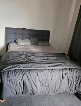 Boxspringbett Moulay 160cm x 200cm - Berlin Spandau