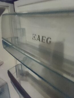 AEG SANTO SKS98800C4 Kühlschrank A+++ - Stuttgart