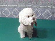 Bichon Frise Sammelfigur - Unna