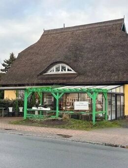 Reetgedecktes Landhaus in 18375 Ostseebad Prerow - Prerow (Ostseebad)