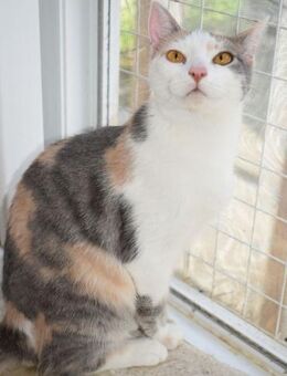 Frida überlebte einen Hurricane - Augsburg