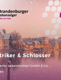 Elektriker & Schlosser (m/w/d) - Golßen