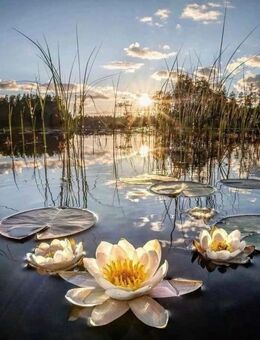 NEU! Winterzeit mit wohltuenden Wellness-Massagen - Berlin