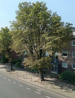 Besonderes Highlight: Penthouse Wohnung auf 2 Ebenen - Oberhausen