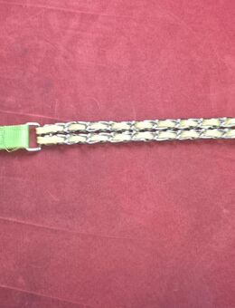 Hunde Halsband - Größe S... - Schwaan