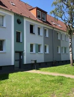 2,5-Zimmer-Wohnung mit Wohnküche in Herne Unser Fritz - Herne