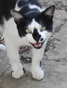 MANCHITAS - wo es keine Hilfe gibt...... - Kempen