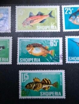 Briefmarken Albanien 1967 Fische Satz komplett gestempelt - Görlitz
