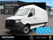 Mercedes Sprinter, 317 Ka Lang, Jahr 2022 - Holzminden