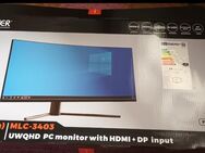 Denver 34 Zoll Curved Monitor Top Zustand - Burglengenfeld Zentrum