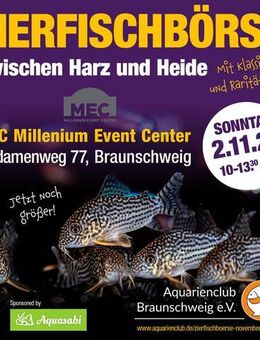 Größte Zierfischbörse Deutschlands – 2. November 2025 - Braunschweig