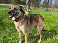 Naila❤️sucht ihr Traum-Zuhause - Rott (Inn)