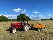 kleiner Feldanhänger für Traktor - Bensheim