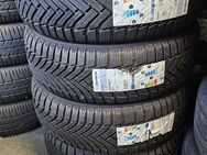 Neue Winterreifen 205/55R17 Michelin Alpin6 - Dettingen (Erms)