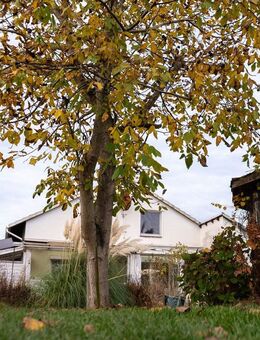 Einfamilienhaus mit Traumgrundstück in Elbnähe - Drage (Niedersachsen)