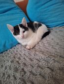 Pauli, Paula und Mini -Mie in 09496