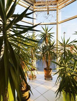 Gar nicht mal so klein, aber fein! - Mainaschaff