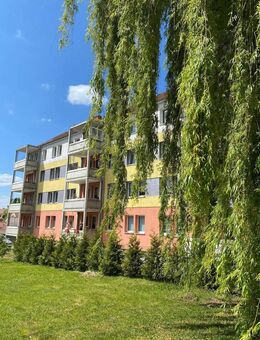 *Gemütliche & helle 2-Zimmer-Wohnung* - Mühlhausen (Thüringen)
