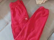 Adidas Jogginghose Damen in M - Bestensee