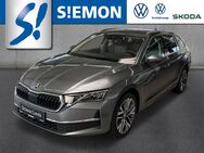 Skoda Octavia, 2.0 TDI Combi neu Selection, Jahr 2024 - Emsdetten