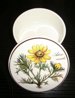 Bonbonniere/Deckeldose "BOTANICA" von Villeroy und Boch - Duisburg
