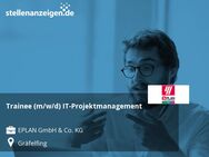 Trainee (m/w/d) IT-Projektmanagement - Gräfelfing