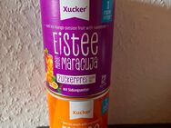Xucker Eistee - Pfirsich und Mango-Maracuja - Mainz