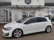 VW Golf, GTI Performance VW Golf 7 GTI Performan, Jahr 2016 - Annaberg-Buchholz