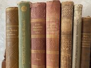 22 Antiquarische Bücher von 1874 bis 1913 - Hannover
