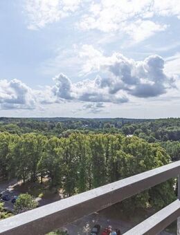 Diesen Ausblick können Sie mieten! Schöne 2-Zimmer Wohnung direkt am "Großen Plöner See". - Plön