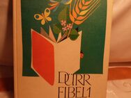 Buch vom Verlag Dürr - 1. Fibel zum Lesewerk Lies mit mir / 1. Auflage [1967] - Zeuthen
