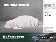 Skoda Kamiq, 1.5 TSI Ambition DC, Jahr 2023 - Amberg