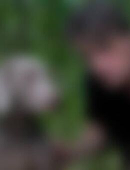 Grü*** - Mönchengladbach