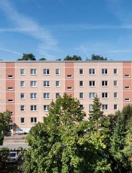 Einziehen und Sparen! 1 Raumwohnung im Betreuten wohnen! - Bernsdorf (Regierungsbezirk Dresden)