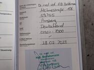 Dobermann jack Russel Mix zu verkaufen - Soest