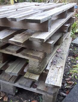 Holzpaletten - Münster