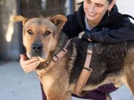 KAIMI ist bereit für sein neues Leben! - München