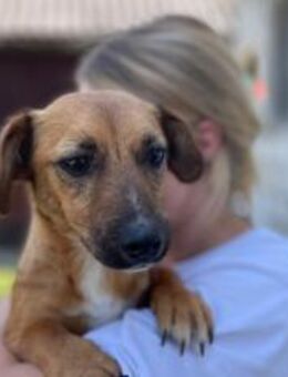 Neyla sucht ihre Familie - München