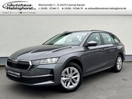 Skoda Octavia, 2.0 TDI IV Combi Selection e Hk Alu17, Jahr 2022 - Castrop-Rauxel