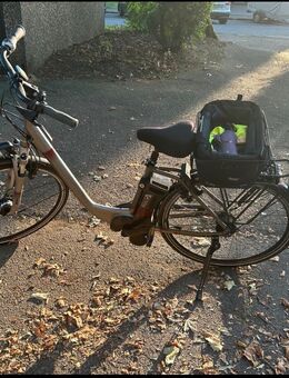 Elektrofahrrad (Damen ) Kalkhoff - Mönchengladbach